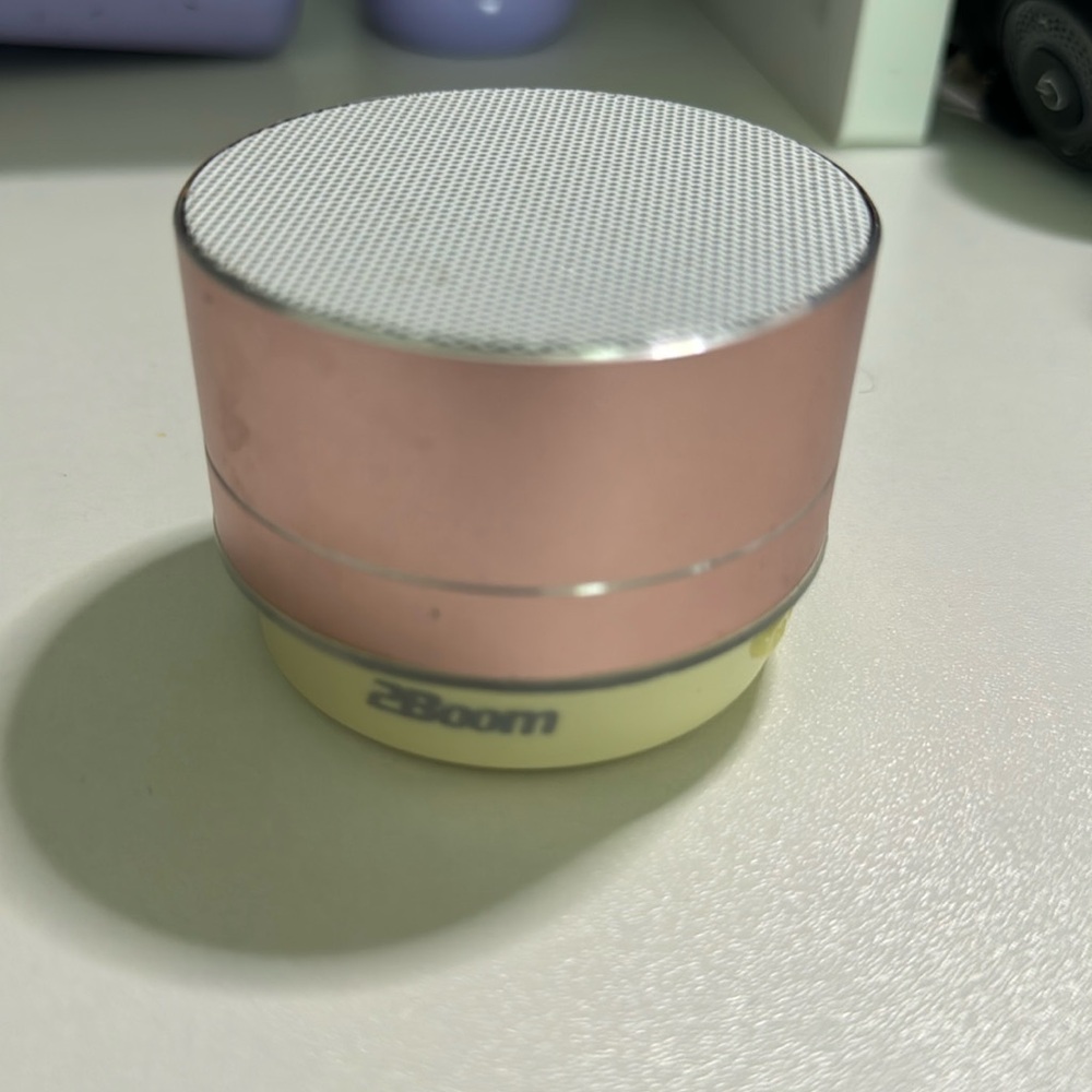 2Bloom wireless speaker
